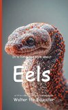It's Time to Learn about Eels