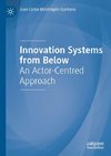 Innovation Systems from Below