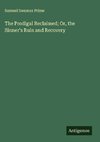 The Prodigal Reclaimed; Or, the Sinner's Ruin and Recovery