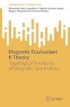 Magnetic Equivariant K-Theory