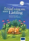 Schlaf ruhig ein, mein Liebling