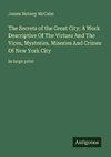 The Secrets of the Great City; A Work Descriptive Of The Virtues And The Vices, Mysteries, Miseries And Crimes Of New York City