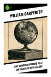 One Hundred Proofs That the Earth Is Not a Globe