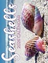 Seashells 2026 Calendar