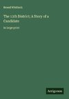 The 13th District; A Story of a Candidate