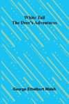 White Tail the Deer's Adventures