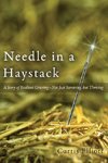 Needle in a Haystack