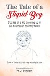 The Tale of a Stupid Boy
