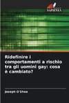 Ridefinire i comportamenti a rischio tra gli uomini gay: cosa è cambiato?
