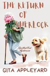 The Return of Sherlock