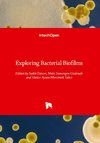 Exploring Bacterial Biofilms