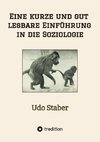 Eine kurze und gut lesbare Einführung in die Soziologie