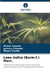 Leea indica (Burm.f.) Merr.