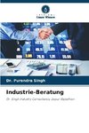 Industrie-Beratung