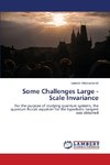 Some Challenges Large - Scale Invariance