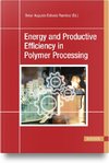 Energy and Productive Efficiency in Polymer Processing