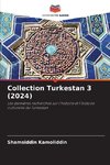 Collection Turkestan 3 (2024)
