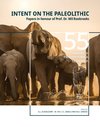 Intent on the Paleolithic