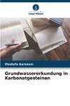 Grundwassererkundung in Karbonatgesteinen