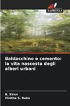 Baldacchino e cemento: la vita nascosta degli alberi urbani