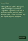 Through Bosnia and the Herzegovina on Foot During the Insurrection, August and September 1875. With an Historical Review of Bosnia, and a Glimpse at the Croats, Slavonians, and the Ancient Republic of Ragusa