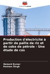 Production d'électricité à partir de paille de riz et de coke de pétrole - Une étude de cas