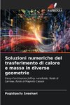 Soluzioni numeriche del trasferimento di calore e massa in diverse geometrie