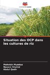 Situation des OCP dans les cultures de riz