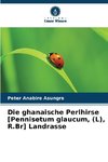 Die ghanaische Perlhirse [Pennisetum glaucum, (L), R.Br] Landrasse