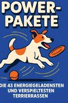 Power-Pakete