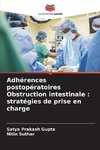 Adhérences postopératoires Obstruction intestinale : stratégies de prise en charge