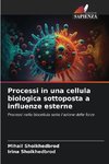 Processi in una cellula biologica sottoposta a influenze esterne
