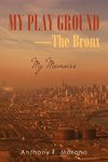 My Play Ground-The Bronx