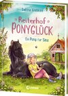 Reiterhof Ponyglück (Band 1) - Ein Pony für Sina