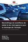 Électrofilage de nanofibres de métal et de chalcogénure pour le stockage de l'énergie