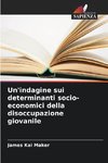 Un'indagine sui determinanti socio-economici della disoccupazione giovanile