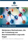 Molekulare Mechanismen, die der Freisetzung von Neurotransmittern zugrunde liegen
