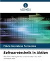 Softwaretechnik in Aktion