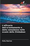 L'efficacia dell'orientamento e della consulenza nelle scuole dello Zimbabwe