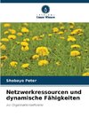 Netzwerkressourcen und dynamische Fähigkeiten