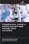 Progettazione, sintesi e attività anti-HIV degli analoghi della curcumina