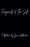 Fragments of The Self