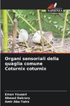 Organi sensoriali della quaglia comune Coturnix coturnix