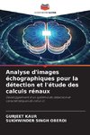 Analyse d'images échographiques pour la détection et l'étude des calculs rénaux
