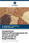 Integriertes Nährstoffmanagement für direkt ausgesäte Fingerhirse im Regenfeldbau