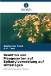 Reaktion von Mangosorten auf Epikotylveredelung auf Unterlagen