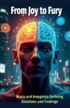 From Joy to Fury. Brain and Amygdala Defining Emotions and Feelings