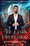 The Dark Professor