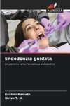 Endodonzia guidata