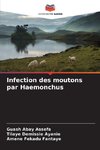 Infection des moutons par Haemonchus
